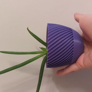 Starter plant pot 🪴